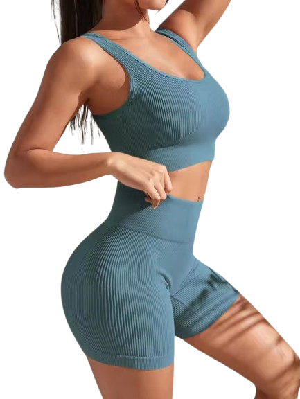 Curvear Seamless 2 Piece Yoga Sets for Women Gym Suit Short Precious High Waist Shorts Fitness Running Outfits