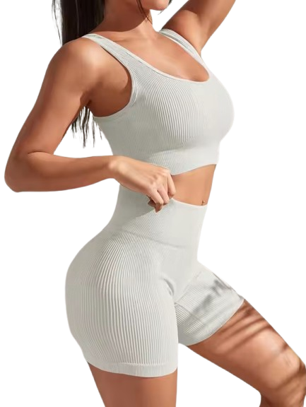 Curvear Seamless 2 Piece Yoga Sets for Women Gym Suit Short Precious High Waist Shorts Fitness Running Outfits