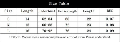 Curvear®️Womens Sexy Lingeries Sets Mesh See Through Spaghetti Strap Bras Thongs Set Girls 2pieces Lace Mesh Underwear Panties